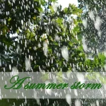 a-summer-storm.webp