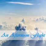 an-afternoon-flight.webp