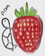 slice1.png