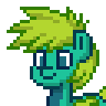 hecko