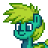 hecko